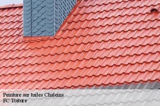 Peinture sur tuiles  chaleins-01480 FC Toiture