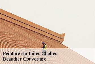 Peinture sur tuiles  challes-01450 Beaudier Couverture 