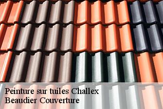 Peinture sur tuiles  challex-01630 Beaudier Couverture 