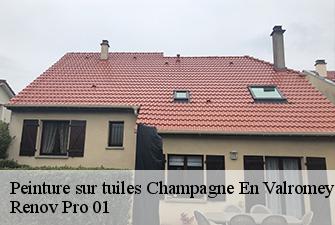 Peinture sur tuiles  champagne-en-valromey-01260 Renov Pro 01