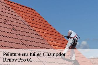 Peinture sur tuiles  champdor-01110 Renov Pro 01