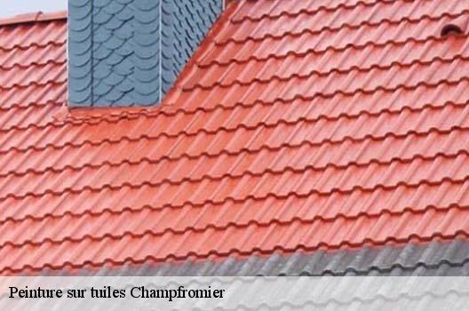 Peinture sur tuiles  champfromier-01410 