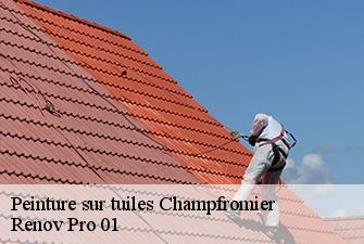Peinture sur tuiles  champfromier-01410 Renov Pro 01