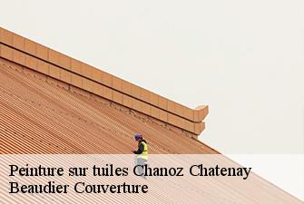 Peinture sur tuiles  chanoz-chatenay-01400 Beaudier Couverture 