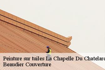 Peinture sur tuiles  la-chapelle-du-chatelard-01240 Beaudier Couverture 