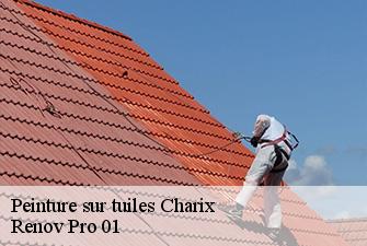 Peinture sur tuiles  charix-01130 Renov Pro 01