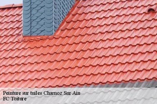 Peinture sur tuiles  charnoz-sur-ain-01800 FC Toiture