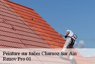 Peinture sur tuiles  charnoz-sur-ain-01800 Renov Pro 01
