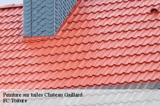 Peinture sur tuiles  chateau-gaillard-01500 FC Toiture