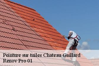 Peinture sur tuiles  chateau-gaillard-01500 Renov Pro 01