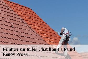 Peinture sur tuiles  chatillon-la-palud-01320 Renov Pro 01