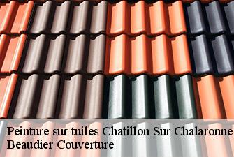 Peinture sur tuiles  chatillon-sur-chalaronne-01400 Beaudier Couverture 