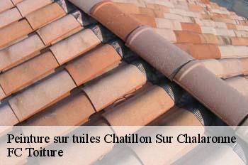Peinture sur tuiles  chatillon-sur-chalaronne-01400 FC Toiture