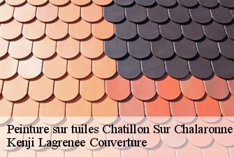 Peinture sur tuiles chatillon-sur-chalaronne-01400 Kenji Lagrenee Couverture
