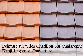 Peinture sur tuiles chatillon-sur-chalaronne-01400 Kenji Lagrenee Couverture
