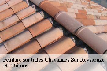 Peinture sur tuiles  chavannes-sur-reyssouze-01190 FC Toiture