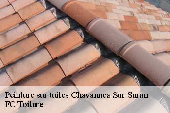 Peinture sur tuiles  chavannes-sur-suran-01250 FC Toiture
