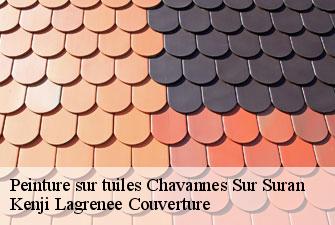 Peinture sur tuiles chavannes-sur-suran-01250 Kenji Lagrenee Couverture