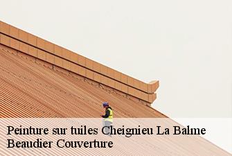 Peinture sur tuiles  cheignieu-la-balme-01510 Beaudier Couverture 