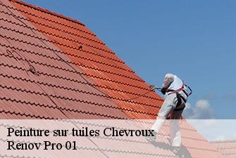 Peinture sur tuiles  chevroux-01190 Renov Pro 01