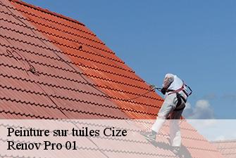Peinture sur tuiles  cize-01250 Renov Pro 01