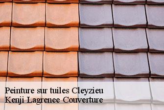 Peinture sur tuiles cleyzieu-01230 Kenji Lagrenee Couverture