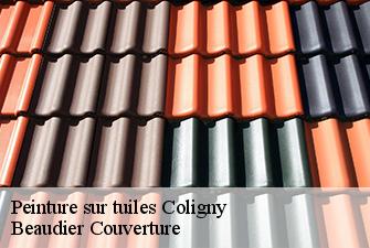 Peinture sur tuiles  coligny-01270 Beaudier Couverture 