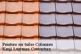 Peinture sur tuiles colomieu-01300 Kenji Lagrenee Couverture