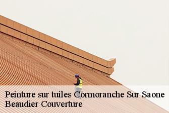 Peinture sur tuiles  cormoranche-sur-saone-01290 Beaudier Couverture 