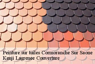 Peinture sur tuiles cormoranche-sur-saone-01290 Kenji Lagrenee Couverture