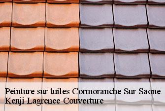 Peinture sur tuiles cormoranche-sur-saone-01290 Kenji Lagrenee Couverture