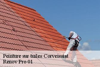 Peinture sur tuiles  corveissiat-01250 Renov Pro 01