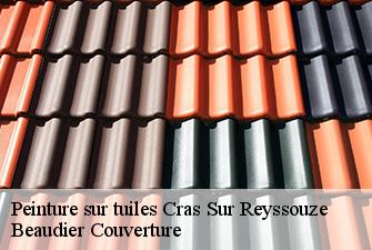 Peinture sur tuiles  cras-sur-reyssouze-01340 Beaudier Couverture 