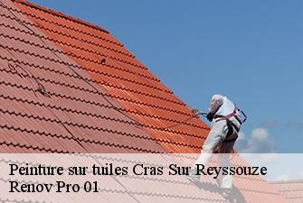 Peinture sur tuiles  cras-sur-reyssouze-01340 Renov Pro 01