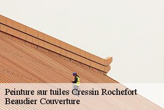 Peinture sur tuiles  cressin-rochefort-01350 Beaudier Couverture 