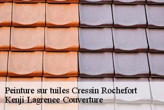 Peinture sur tuiles  cressin-rochefort-01350 Kenji Lagrenee Couverture