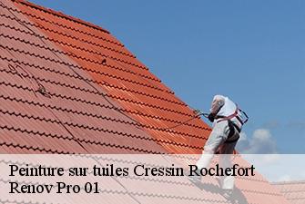 Peinture sur tuiles  cressin-rochefort-01350 Renov Pro 01