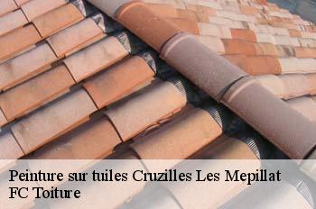 Peinture sur tuiles  cruzilles-les-mepillat-01290 FC Toiture