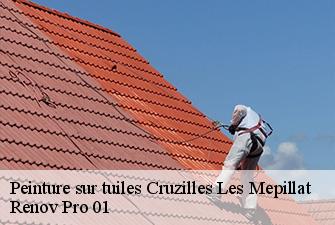 Peinture sur tuiles  cruzilles-les-mepillat-01290 Renov Pro 01