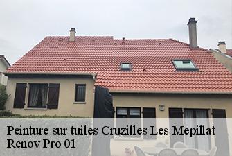 Peinture sur tuiles  cruzilles-les-mepillat-01290 Renov Pro 01