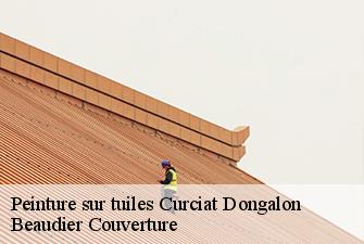Peinture sur tuiles  curciat-dongalon-01560 Beaudier Couverture 