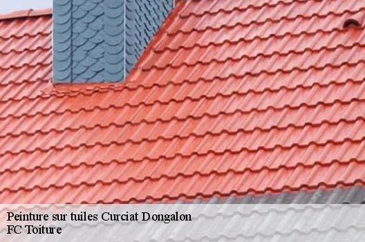 Peinture sur tuiles  curciat-dongalon-01560 FC Toiture