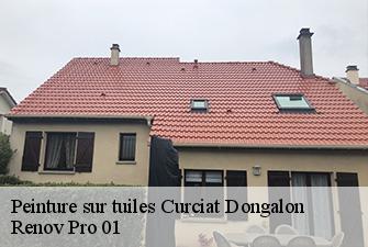 Peinture sur tuiles curciat-dongalon-01560 Renov Pro 01