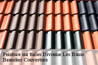 Peinture sur tuiles  divonne-les-bains-01220 Beaudier Couverture 