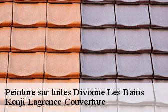 Peinture sur tuiles divonne-les-bains-01220 Kenji Lagrenee Couverture