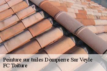 Peinture sur tuiles  dompierre-sur-veyle-01240 FC Toiture