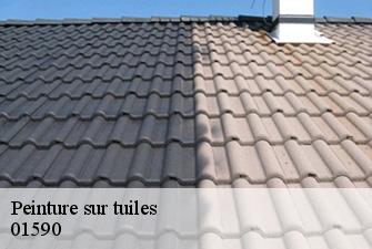 Peinture sur tuiles  dortan-01590 Renov Pro 01