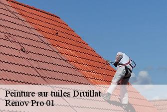 Peinture sur tuiles  druillat-01160 Renov Pro 01