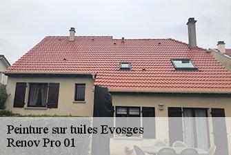 Peinture sur tuiles  evosges-01230 Renov Pro 01