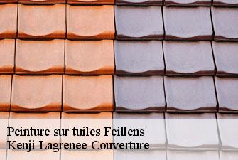 Peinture sur tuiles feillens-01570 Kenji Lagrenee Couverture